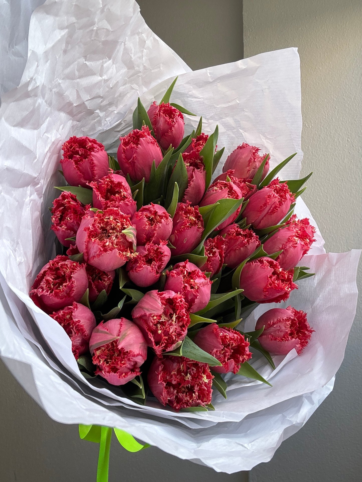 MONO OF PINK FRENCH TULIPS