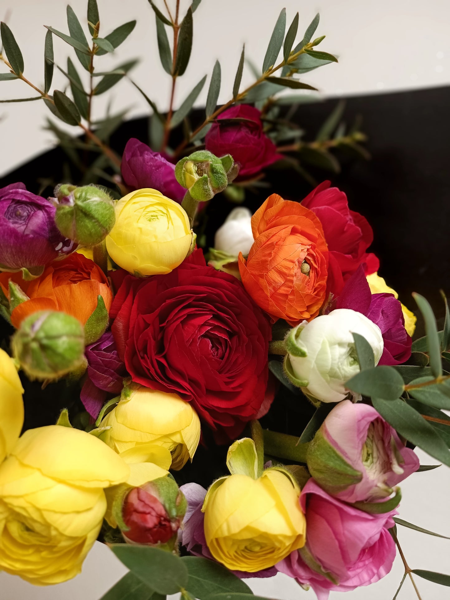 MONO OF MIXED RANUNCULUSES