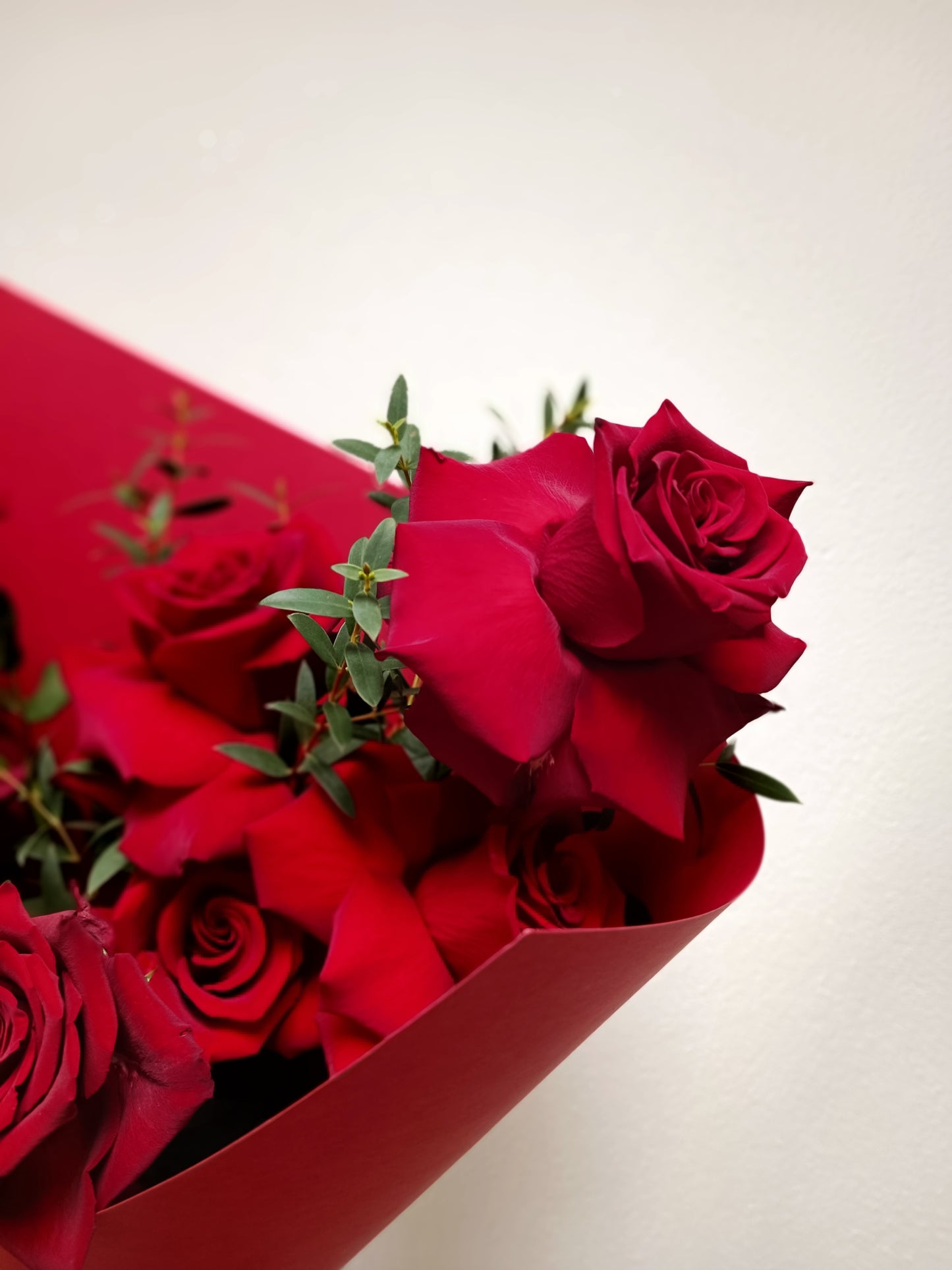 MONO OF RED ROSES (M)