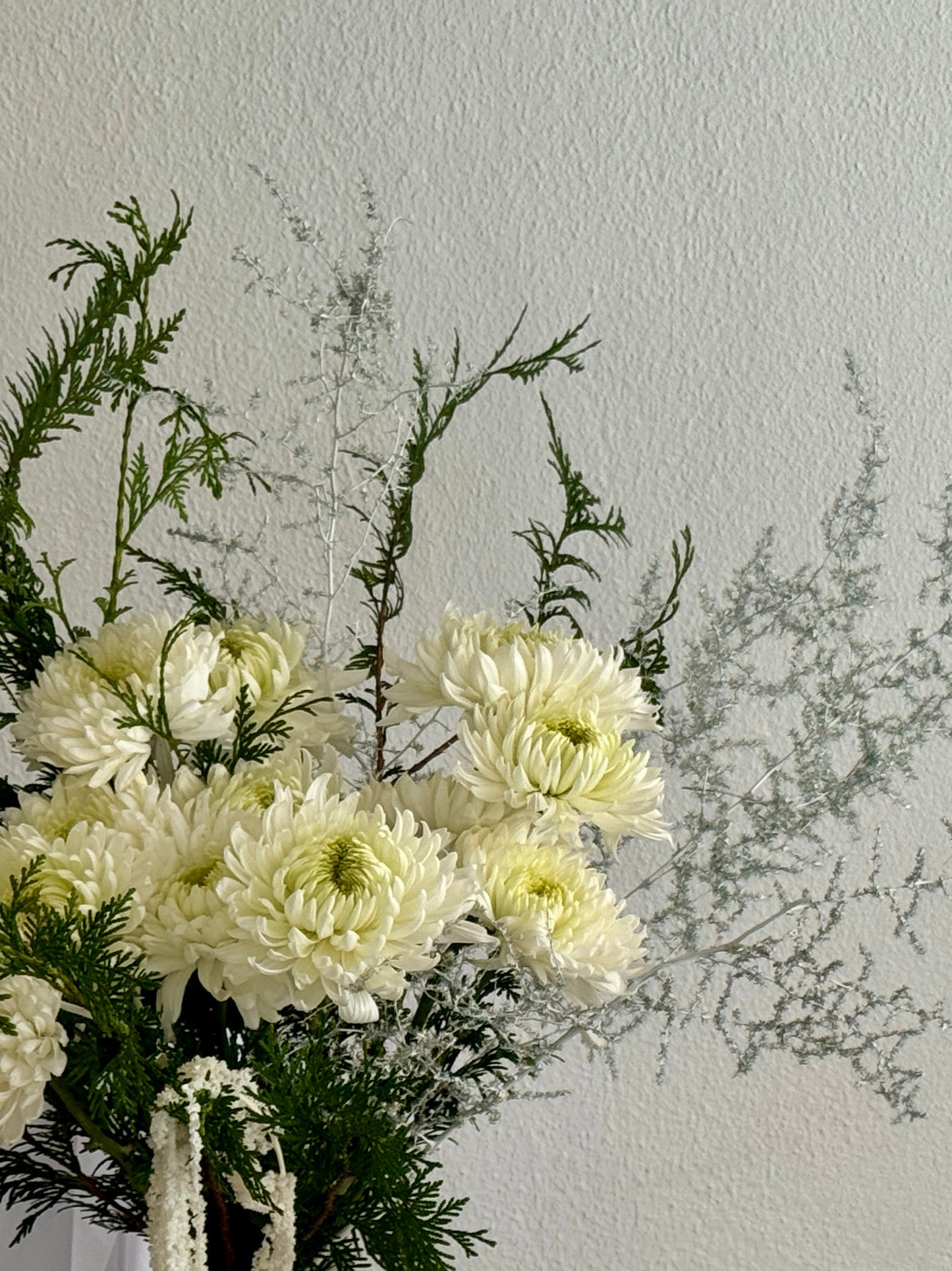 CLOUD OF WHITE CHRYSANTHEMUMS
