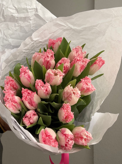 PINK TULIPS BLEND (M)