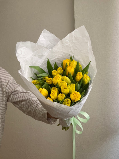 MONO OF YELLOW TULIPS