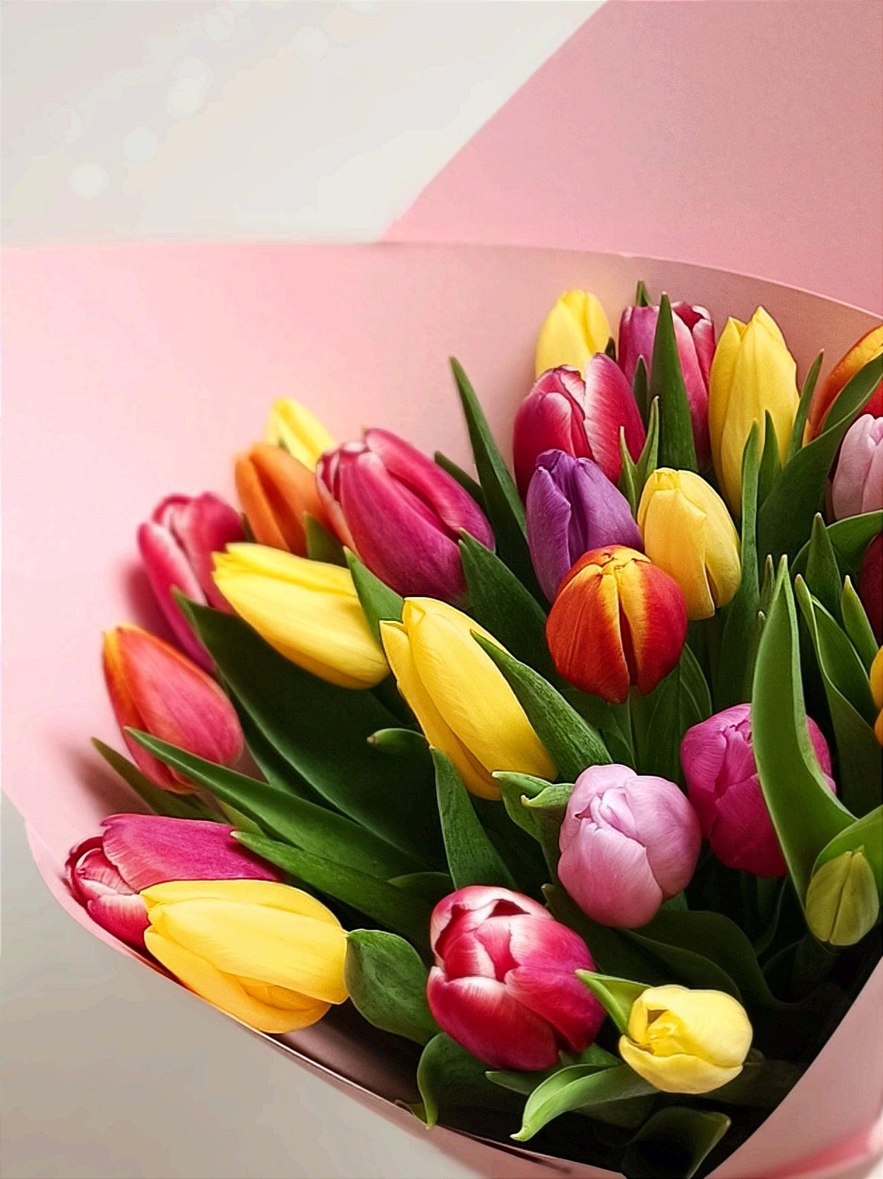 MONO OF COLORFUL TULIPS - FLORALBROSTUDIO